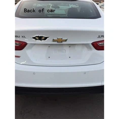 Autocolant cu privirea pisicii